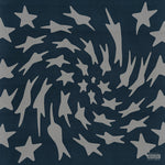 Toro Y Moi - Hole Erth (アナログ盤)