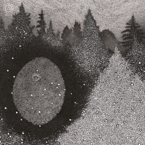 アローラ クルーシブル - オーク レースの亡霊 (レコード)