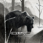 the album cover for Nest - Fabled Lore / Hidden Stream