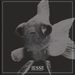 Jesse - Complete Discography (Vinyl)
