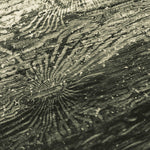 the album cover for Raphael Roginski - Tal???A???N