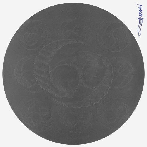 ARケイン - 69(ビニール盤)