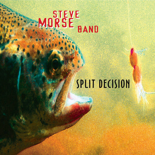 Steve Morse Band - Decisión dividida (CD)