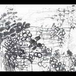 フランク・ロンドン - ブラス・コンスピラシー (CD)