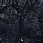 Trelldom - ...por las sombras... (CD)