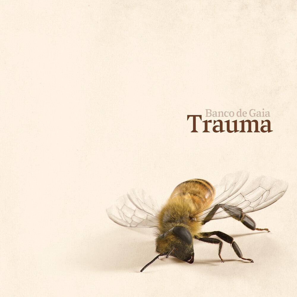 the album cover for Banco De Gaia - Trauma