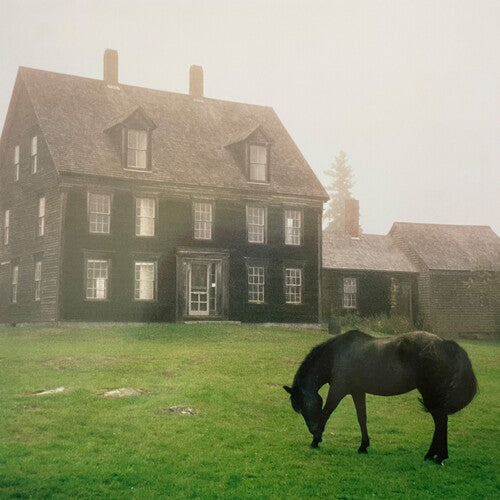 Lutalo - The Academy - Meadow Green (Vinyl)