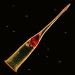 Leproso - Melodías de Expiación (CD)