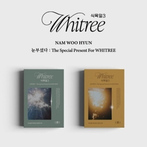 Nam Woo Hyun - The Special Present For Whitree - Random Cover - incl. USB, 7pc Postcard Set, Folded Poster, 3 Photocards + Film Photo (CD)
