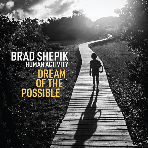 Brad Shepik - Human Activity: Dream of the Possible (CD)
