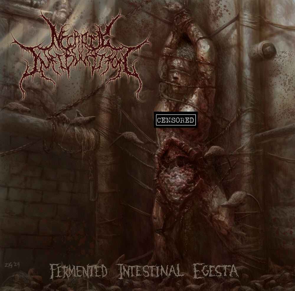 the album cover for Necrotic Infibulation - Fermented Intestinal Egesta