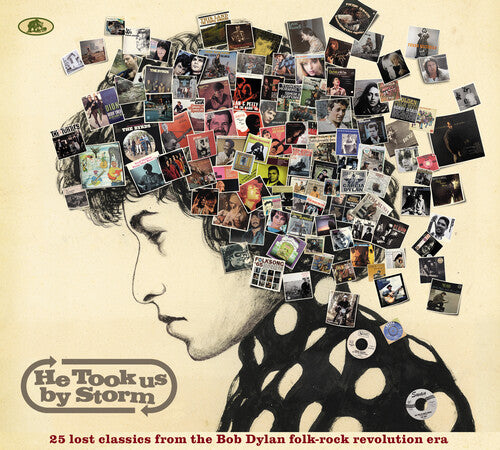 Various Artists - He Took Us By Storm: 25 Lost Classics From Bob Dylan Folk-Rock / Var (CD)