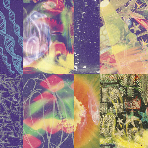 Nap Eyes - The Neon Gate (CD)