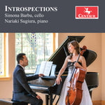 the album cover for Drago / Stark / Sugiura - Introspections
