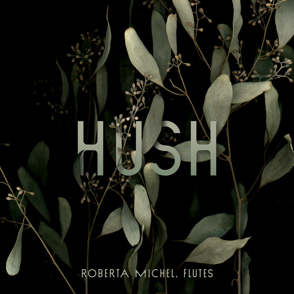 the album cover for Baker / Rigler / Michel - Hush