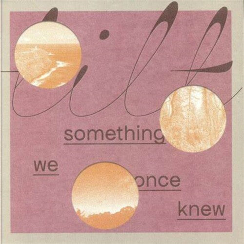 Tilt - Something We Once Knew (Vinyl)