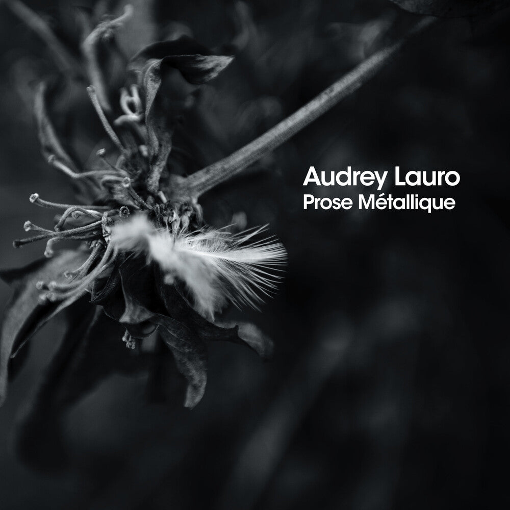 the album cover for Audrey Lauro - Prose Metalliqe