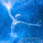 Liquid Mind - Liquid Mind XV: In The Love (CD)