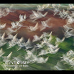 the album cover for Steve Kilbey - Whispers In The Static
