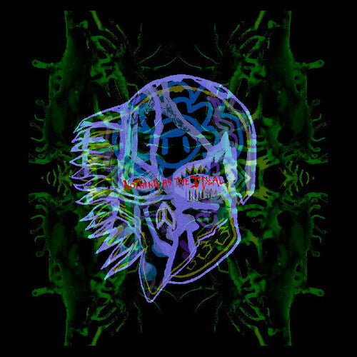 オール・ゼム・ウィッチーズ - ナッシング・アズ・ザ・アイディアル(レコード)