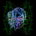 オール・ゼム・ウィッチーズ - ナッシング・アズ・ザ・アイディアル(レコード)