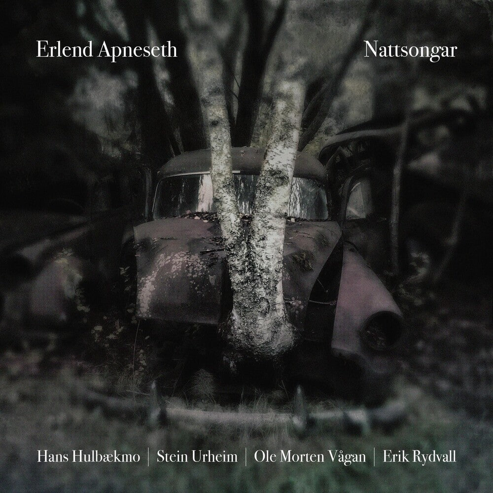 the album cover for Erlend Apneseth - Nattsongar