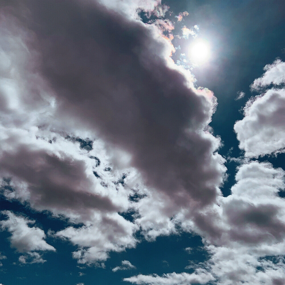 the album cover for Kestrels - Better Wonder