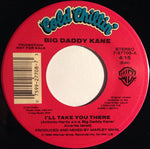 Big Daddy Kane : I'll Take You There(7", Promo)