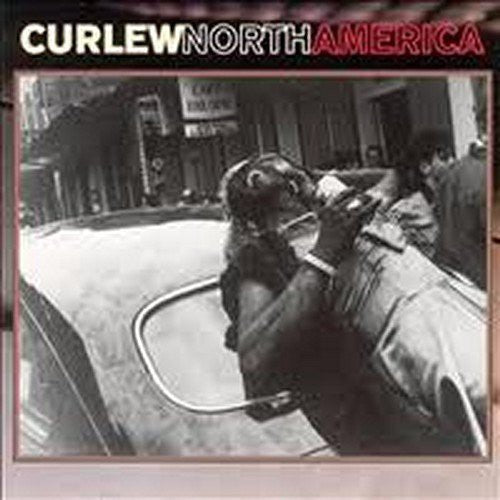 Zarapito real - América del Norte (CD)