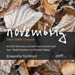 the album cover for Zeitler / Gschwend / Zischg - Novembrig