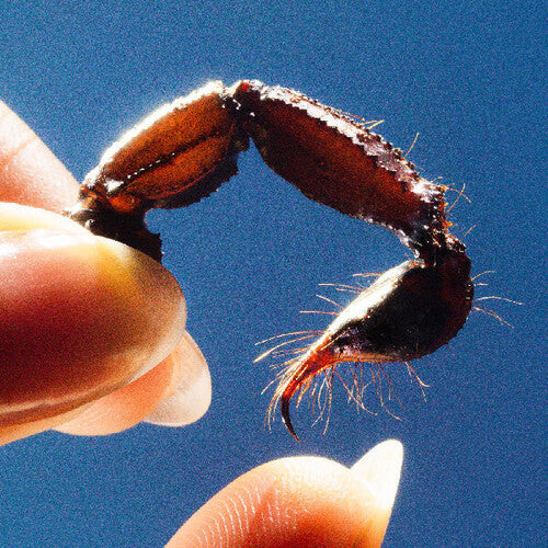 Calamar - Cobardes (Vinilo)