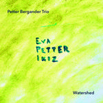 the album cover for Bergander, Peter - Watershed
