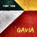 the album cover for Berggren, Sven / Sonic Skin - Gavia