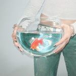 Fish Narc - Frog Song (Vinyl)