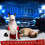 Rick Springfield - Grandes éxitos: Los grandes éxitos de Rick Springfield, vol. 2 (CD)