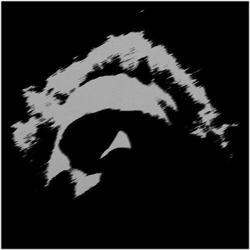 ベンジャミン・ブッカー - Lower (ビニール盤)