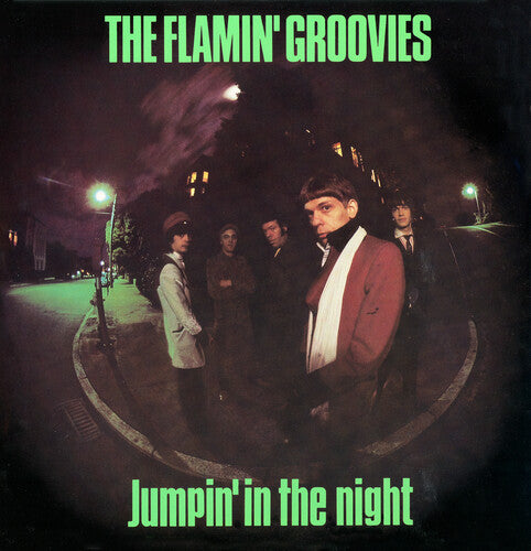 Flamin' Groovies - Jumpin' In The Night (Vinyl)