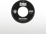 Project Gemini and The Space Donkeys - After The Dawn - Large Plants Remix / Darkness Rising (Vinyl)