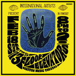 13th Floor Elevators - ヒューストン・ミュージック・シアター、ライブ 1967 (RSD) (レコード)