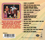 The Foundations - The Hits: Re-Recorded (CD)