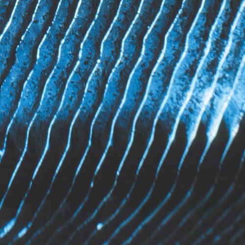 Monolake - Gravity (Vinyl)