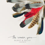 The Wonder Years - Burst & Decay Vol. 3 - White (Vinyl)