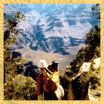 the album cover for David Dunn - Music Language & Environment: Environmental Sound