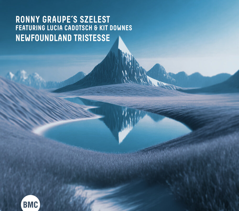 the album cover for Ronny Graupe - Newfoundland Tristesse