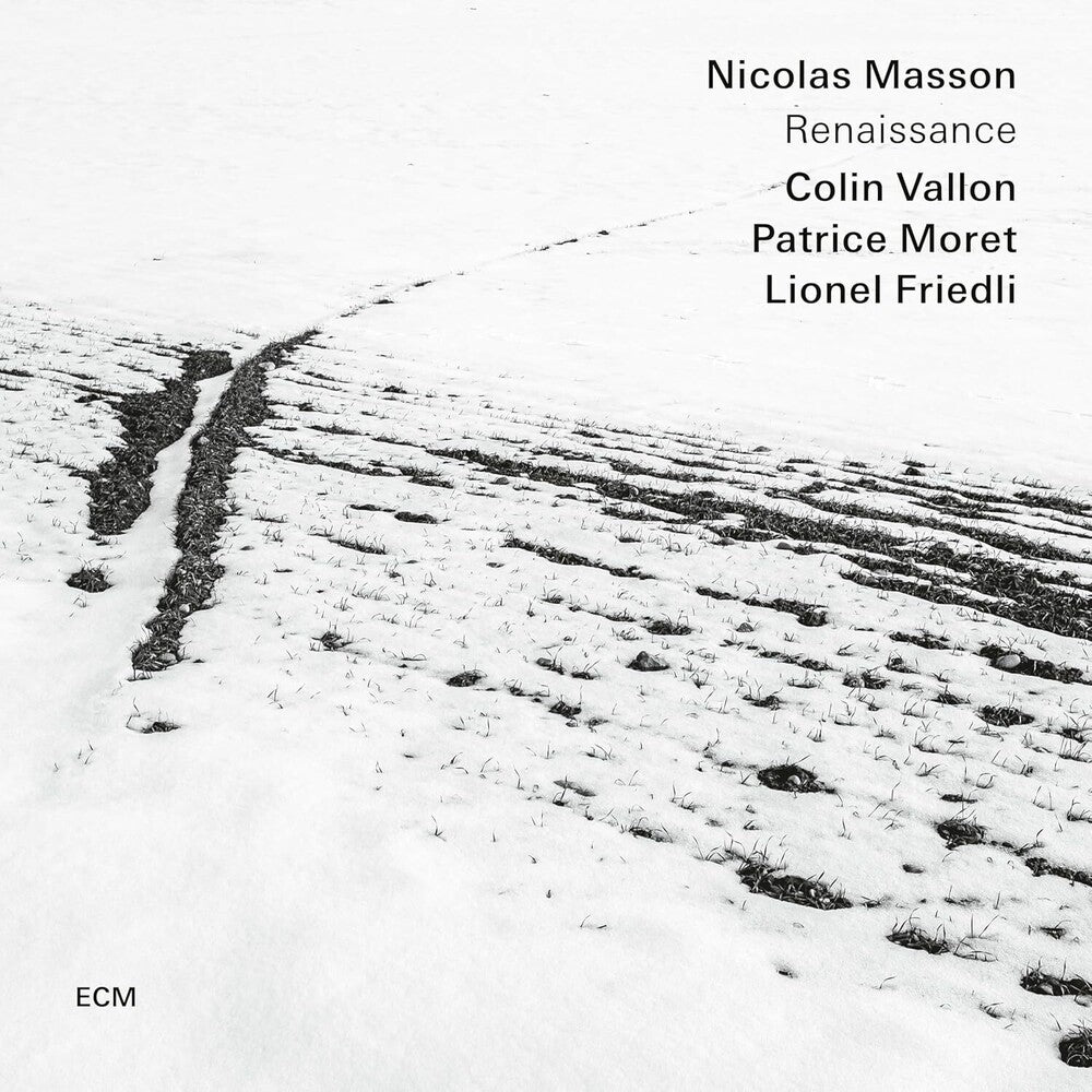 the album cover for Nicolas Masson - Renaissance