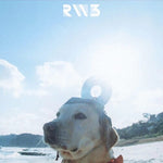 Radwimps - RADWIMPS 3 Mujintou Ni Motteikiwasureta Ichimai (Vinyl)