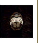 Amenra - De Toorn (ビニールレコード)