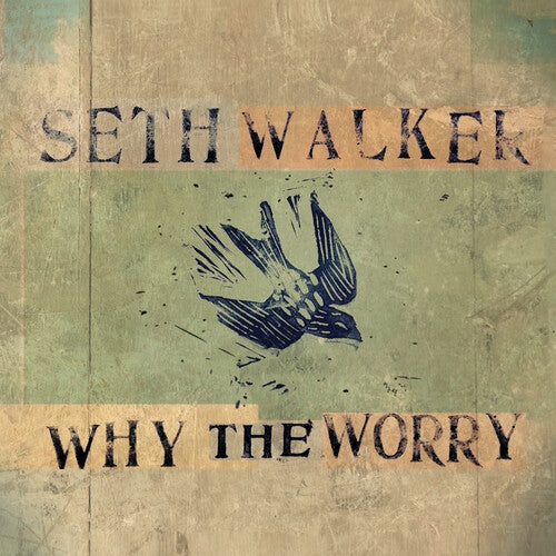 Seth Walker - WHY THE WORRY (CD)