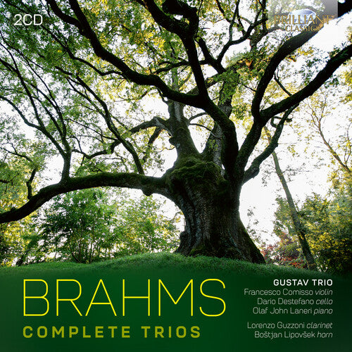Simone Vallerotonda - Brahms: Complete Trios (CD)