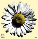 Various Artists - Heart of Gold: The Songs of Neil Young (Various Artists) (Vinyl)